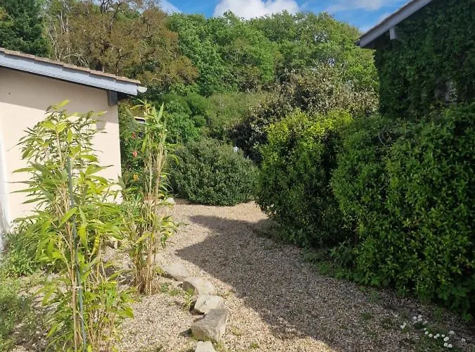 Maison De Charme Avec Piscine فيلة Saint-Martin-de-Seignanx